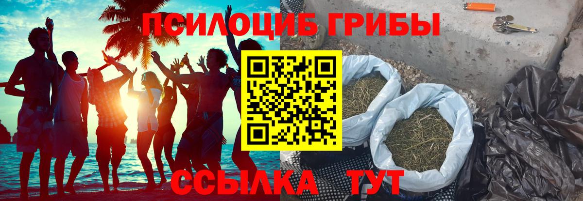 Галлюциногенные грибы прущие грибы Нефтекумск