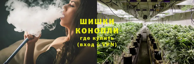 Конопля Ganja  Нефтекумск 